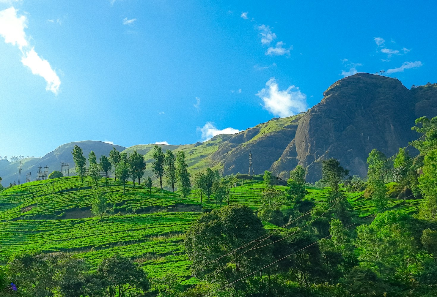 Keindahan Taman Nasional yang Memukau di Indonesia